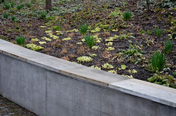 Concrete Wall Construction in Fairfax