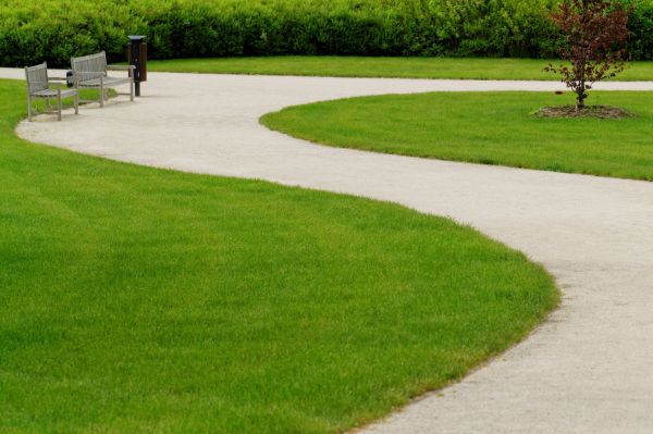 Sidewalk Concrete Service in Fairfax
