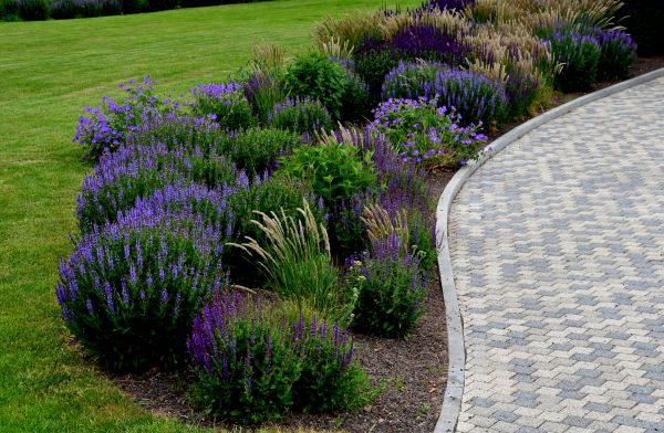 Cost of Sidewalk Curb Installation in Fairfax