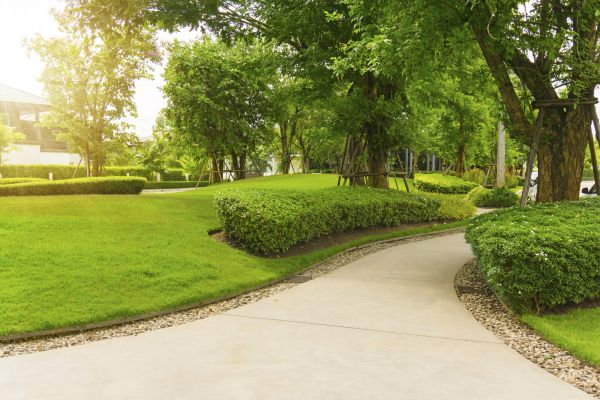 Walkway Concrete Installation in Fairfax