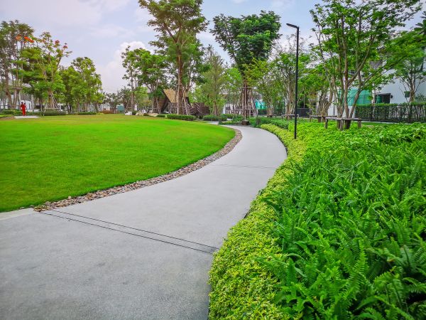 Cement Walkway Service in Fairfax