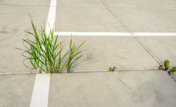 Concrete Parking Installation in Fairfax