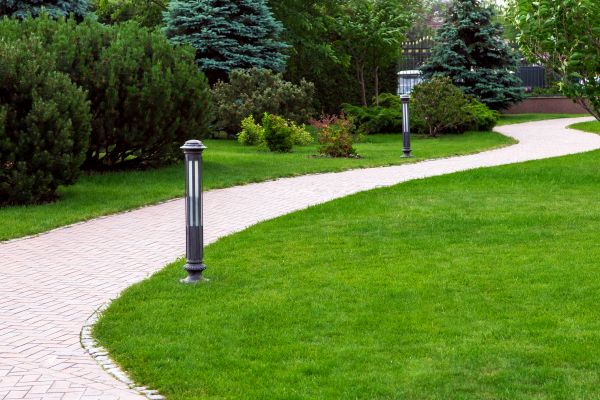 Backyard Sidewalk Installation in Fairfax